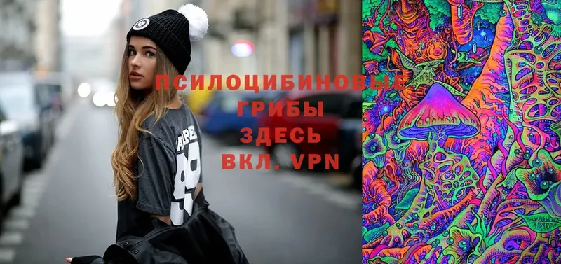 Галлюциногенные грибы Magic Shrooms  где найти   OMG ссылка  Пудож 